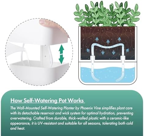 Phoenix Vine 4.5 Inch Wall Mounted Self-Watering Planter Pot for Indoor Houseplants and Herbs | Hanging Planter for Window Sills, Bathroom Walls, Home & Office Décor, White, Set of 1, 01-B-D-1 - Image 5