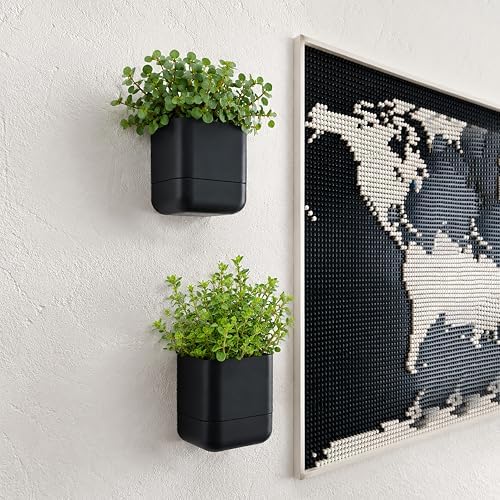 Phoenix Vine 4.5 Inch Wall Mounted Self-Watering Planter Pot for Indoor Houseplants and Herbs | Hanging Planter for Window Sills, Bathroom Walls, Home & Office Décor, Black, Set of 2, 01-B-E-2 - Image 2