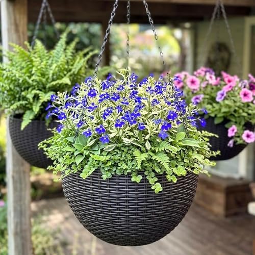 LaLaGreen Indoor Hanging Planters (11in, 3 Pack) Self-Watering Flower Pots by L%C3%A1L%C3%A1Green