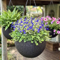 LaLaGreen Indoor Hanging Planters (11in, 3 Pack) Self-Watering Flower Pots by L%C3%A1L%C3%A1Green