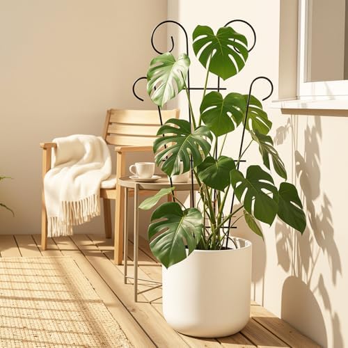Thealyn 4 Pack 23 Inch Plant Trellis for Potted Plants - Image 3