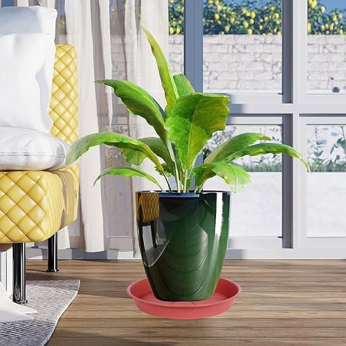 OVZILKI 6 Pack of Plant Saucer Tray 7 8 inch, Heavy Duty Plastic Pot Plant Drip Trays Saucers for for Indoors Outdoor, Plant Water Tray for Planters 7-9" (8", Clay) - Image 6