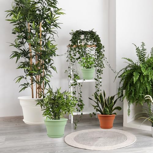 Pottiffe Plant-Pots-Planters-Indoor-Outdoor, 8 inch 4 Pack Green - Image 6