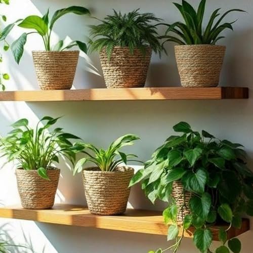 AceOrbit 12 Pcs Wicker Plant Basket Bulk with Liners Woven Planter Baskets Bulk for Indoor Outdoor Seagrass Plants Woven Wicker Baskets for Flower Pots Cover and Room Decor (Medium,Rustic) - Image 2