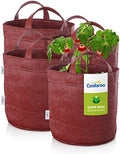 Coolaroo 4-Pack 10 Gallon Heavy Duty Plant/Vegetable/Fruit/Flower Breathable Fabric Grow Planter Pot Bags with Handles, Brick by Coolaroo