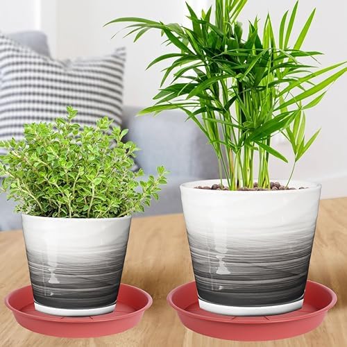 OVZILKI 6 Pack of Plant Saucer Tray 4 6 8 10 12 14 17 19 22 25 inch, Heavy Duty Plastic Pot Plant Drip Trays Saucers for Indoors Outdoor, Plant Water Tray for Planters 4-7" (6", Clay) - Image 5