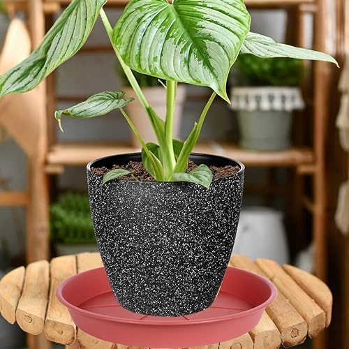 OVZILKI 6 Pack of Plant Saucer Tray 4 6 8 10 12 14 17 19 22 25 inch, Heavy Duty Plastic Pot Plant Drip Trays Saucers for Indoors Outdoor, Plant Water Tray for Planters 4-7" (6", Clay) - Image 4