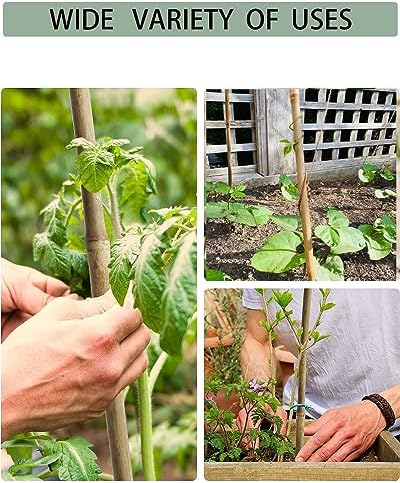 4 Ft Bamboo Stakes with 100 Twist Ties Natural Bamboo Garden Stakes for Tomatoes Cucumber Grapes Pole Beans Trees Potted Dahlia Flowers and Climbing Plants - Pack of 25 - Image 7