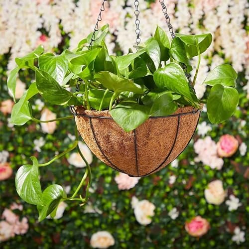 LCHUANG Hanging Baskets Planter for Plants - 2 Pack 14 Inch Metal Baskets with Coco Coir Liner, Hanging Flower Pots for Outside with Chain, Indoor Outdoor Garden Porch Decoration (14'' Pack of 2) - Image 6