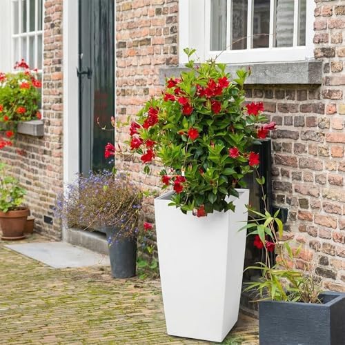 30 Inch Tall Planters Set of 2, Large White Indoor Outdoor Flower Pots for Front Porch, Modern Tall Plant Containers with Drainage Holes, Water Level Indicator & Inner Bucket, Patio Deck Balcony Decor - Image 7