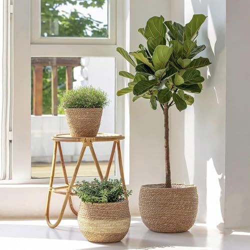 LA JOLIE MUSE Seagrass Basket Planters for Indoor Plants, Flower Pot 3 Pack - Image 3