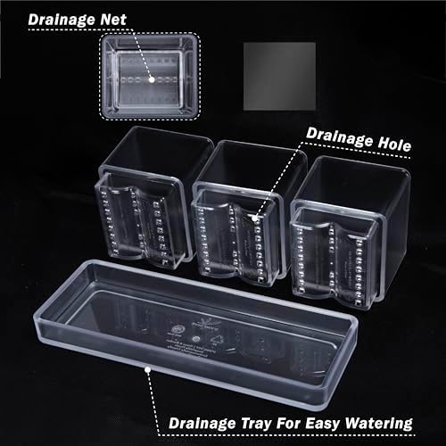 D'vine Dev Acrylic Herb Garden Planter Set, Clear, 76-V-D-1 - Image 5