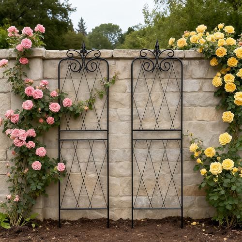 Garden Trellis for Climbing Plants 59inch x15inch Rustproof Metal Vine Trellises for Outdoor Climbing Plants Support Structures A (150cm) 2Pack - Image 5