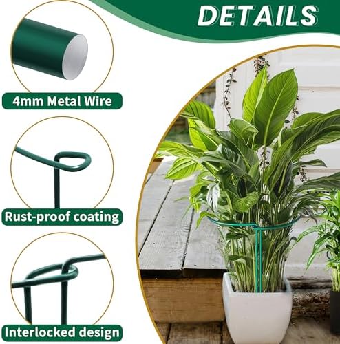 TCBWFY 10 Pack Garden Plant Support Stakes,10" Widex16 High Heavy Duty Interlinked Half Round Peony Support Ring Cage for Indoor Outdoor Plants,Plant Supports for Peony,Tomato,Hydrangea,Rose - Image 5
