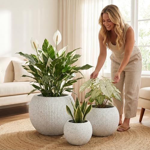 DTY Premium Mt Sherman Fiberstone Sphere Planter for Indoor Outdoor Use, Round Pot for Olive Tree, Lightweight, Smooth Finishes. 2 Coco Mats. Ribbed White, Medium 16.1'' D x 13.6'' H 11.8” Pot Opening - Image 7