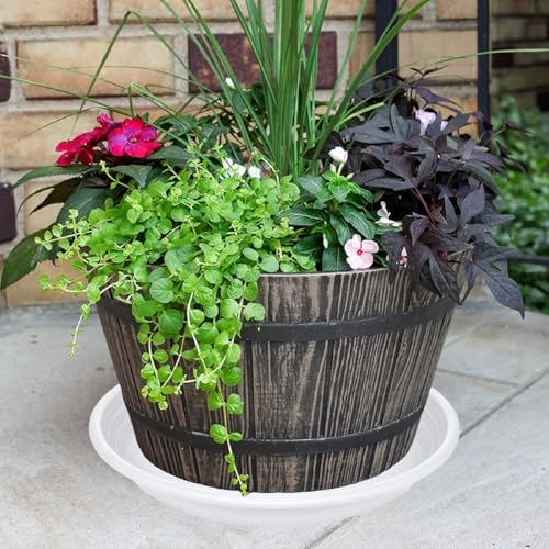 6 Pack of 8 inch Plant Saucer, Large Plant Tray, Heavy Sturdy Plant Drainage Tray for Indoors, Bird Bath Bowls, Sturdy Plastic Pot Tray for Planter (White) - Image 4