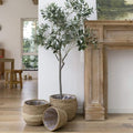 LA JOLIE MUSE Seagrass Basket Planters for Indoor Plants, Flower Pot 3 Pack by LaJol%C3%ADeMuse