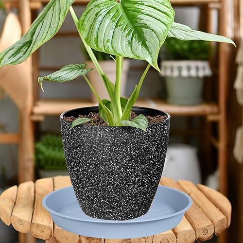 OVZILKI 6 Pack of Plant Saucer Tray 7 8 inch, Heavy Duty Plastic Pot Plant Drip Trays Saucers for for Indoors Outdoor, Plant Water Tray for Planters 7-9" (8", Light Gray) - Image 4