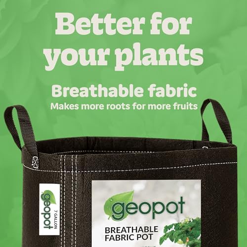GeoPot 7 Gallon Fabric Grow Bags with Handles - 5-Pack - Black - Indoor/Outdoor - Aerated Fabric Pots for Vegetables, Herbs, Flowers & Houseplants - Image 7