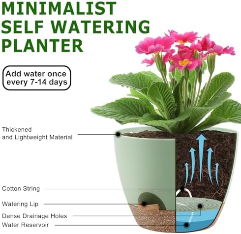 QRRICA Plant Pots 10/9/8/7.5/7 Inch Self Watering Pots, Set of 5 Plastic Planters with Drainage Holes and Saucers,Plastic Flower Pots,Nursery Planting Pot for Indoor Out Door Plants（Green） (Pack of 3) - Image 4