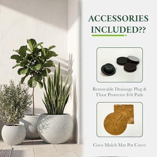 DTY Premium Mt Sherman Fiberstone Sphere Planter for Indoor Outdoor Use, Round Pot for Olive Tree, Lightweight, Smooth Finishes. 2 Coco Mats. Ribbed White, Medium 16.1'' D x 13.6'' H 11.8” Pot Opening - Image 3