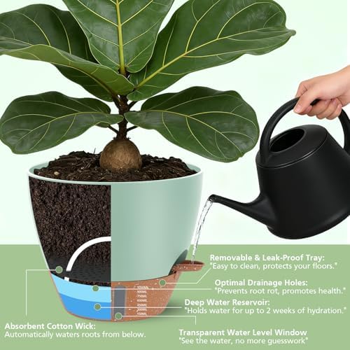 Self Watering Pots with Water Level Indicator, 12" 10" 9" 8" Large Plastic Flower Pots with Mesh Drainage Hole and Removable Saucer Reservoir for Indoor Outdoor Plants (Green) - Image 4