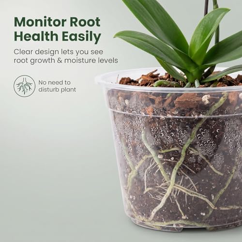 15 Pack 8 Inch Clear Nursery Pots, Large Clear Plant Pots with Drainage - Image 3