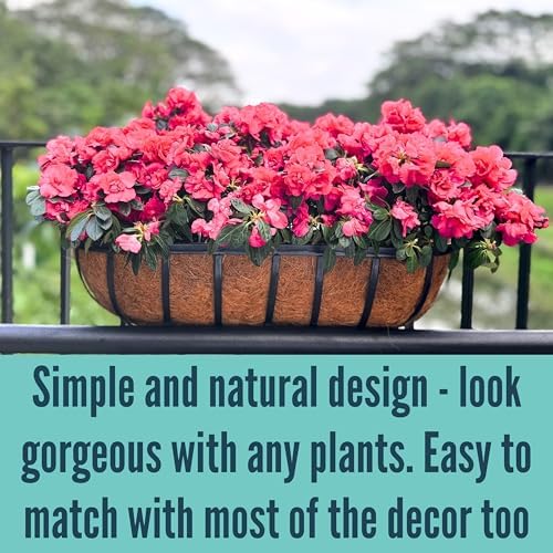LaLaGreen Flower Wall Planter (24 in, 4 Pack) Black Coco Liner Window Box - Image 6