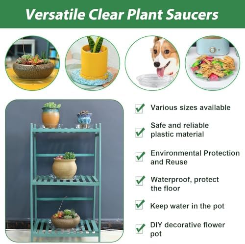 30 Pack Clear Plant Saucers for Indoors (4, 6, 8, 10, 12 inch) Flower Pot Saucers for Potted Plants Plant Plate Set Plant Trays for Indoors No Holes Plant Trays for Pots Bulk - Image 5