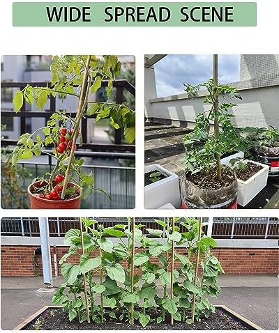 4 Ft Bamboo Stakes with 100 Twist Ties Natural Bamboo Garden Stakes for Tomatoes Cucumber Grapes Pole Beans Trees Potted Dahlia Flowers and Climbing Plants - Pack of 25 - Image 6