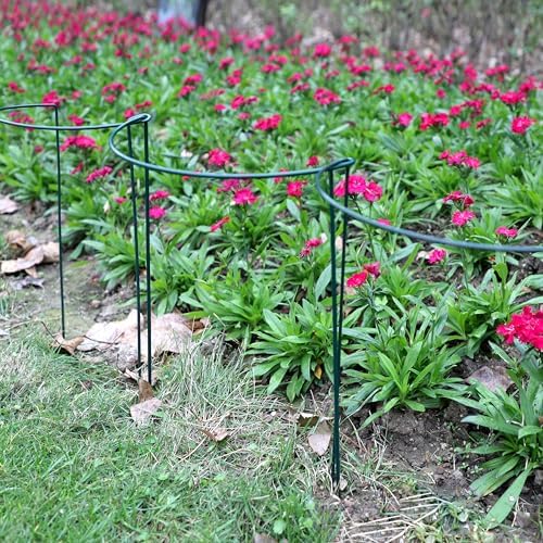 TCBWFY 10 Pack Garden Plant Support Stakes,10" Widex16 High Heavy Duty Interlinked Half Round Peony Support Ring Cage for Indoor Outdoor Plants,Plant Supports for Peony,Tomato,Hydrangea,Rose - Image 6