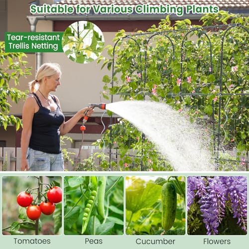 71" x 71" Cucumber Trellis for Raised Bed, Garden Arch Trellis Metal Plant Support Frame with Netting, Sure-Clips & Ground Stakes, U-Shaped Garden Trellis for Climbing Plants Outdoor - Image 4