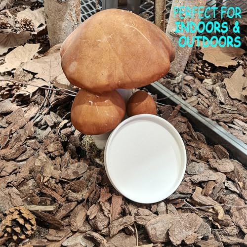 Ceramic Plant Saucer 5 Inch, 2 Pack Round Plant Saucers for Indoors/Outdoors, Flower Pot Saucers for Holding Water Drips and Soil, Ceramic Drainage Tray for Plant Pot(Frosted White) - Image 2