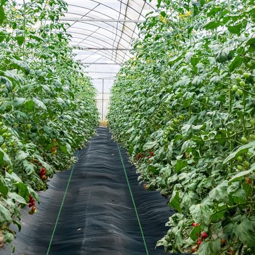 6ft x 300ft Weed Barrier Landscape Fabric Heavy Duty Premium Weed Control Fabric Durable & Eco-Friendly Weed Block Gardening Mat (3.2oz) (LTTY-W6-300) - Image 3
