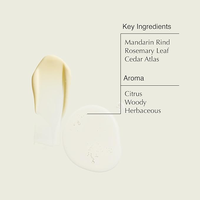 Aesop Resurrection Hand Wash & Balm Set | Citrus & Woody Duo to Cleanse and Moisturize Hands | 16.9 oz / 500 mL (Set of 2)