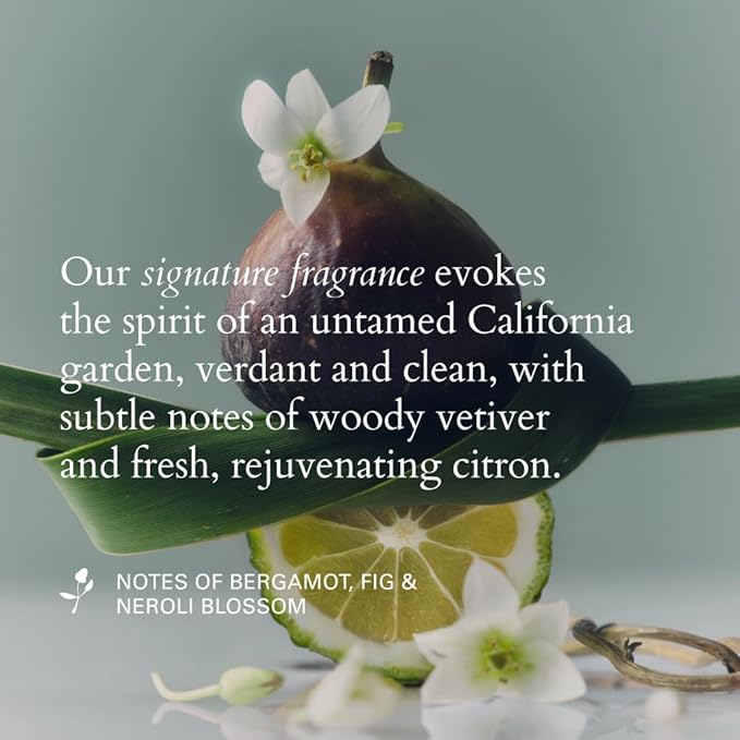 RŌZ Foundation Conditioner | For All Hair Types | Soothes, Nourishes | Hydrating Ceramides, Pea Peptides, Avocado Oil, Strengthen, Protect | Vegan, Paraben, SLS, Sulfate-Free | 10.1 oz / 300 mL