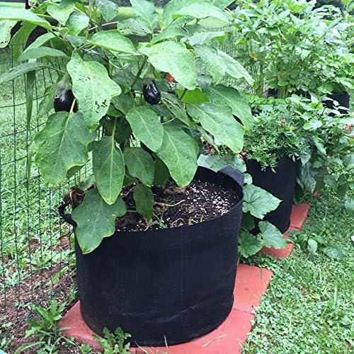 MIFXIN Potato Grow Bags 7 Gallon Vegetable Planter Bag with Handles Non-Woven Fabric Growing Container for Planting Potato Carrot Tomato Onion (5 Pack) - Image 2