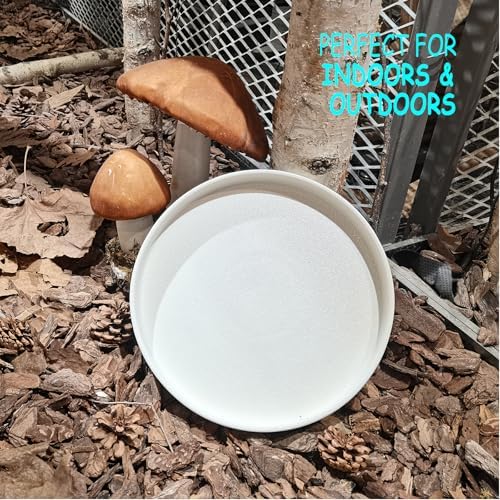 Plant Pot Saucer - 10 Inch Plant Saucer for Indoors and Outdoor Ceramic Plant Tray for Indoors Large Plant Drip Trays Round Flower Pot Saucer Plant Dishes to Catch Water,Frosted White - Image 4