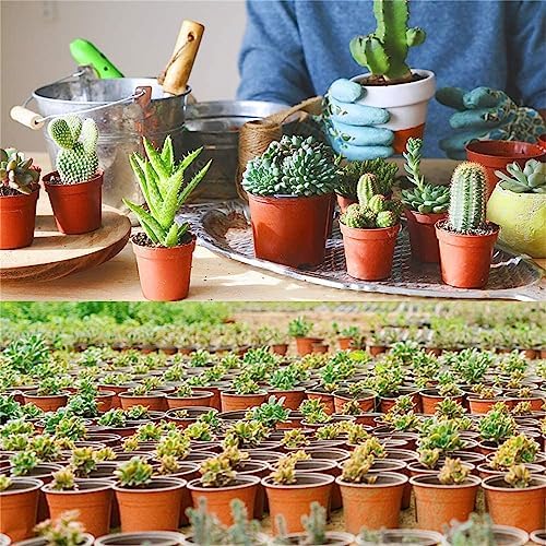 100 PCS 7 Inches Plastic Plant Nursery Pots, Reusable for Succulents, Seedlings, Cuttings, Transplanting,Seedlings Plastic Plant Pots with Drainage Holes - Image 6
