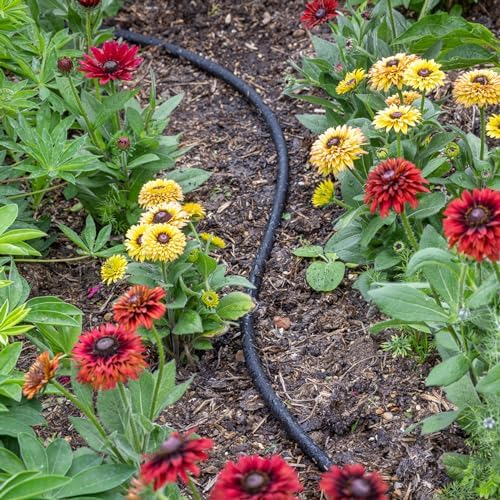STYDDI Soaker Hose, 1/2" x 75 FT Round Rubber Garden Soaker Hose, Heavy Duty Water Seeper Soaker Hoses for Foundation Watering, Garden Beds, Garden, Lawn and Plants - Image 2