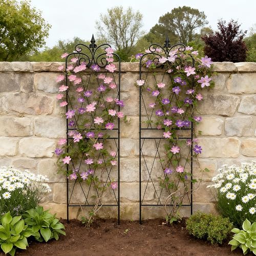 Garden Trellis for Climbing Plants 59inch x15inch Rustproof Metal Vine Trellises for Outdoor Climbing Plants Support Structures A (150cm) 2Pack - Image 4