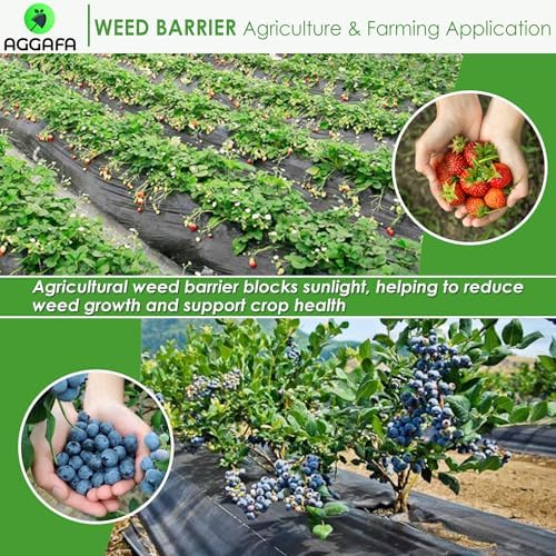 (6ft x 100ft 100% Virgin Material. Premium Heavy Duty Weed Barrier Fabric for Landscaping, Farming, Gardening and Agriculture. Durable Woven Landscape Fabric - Image 5