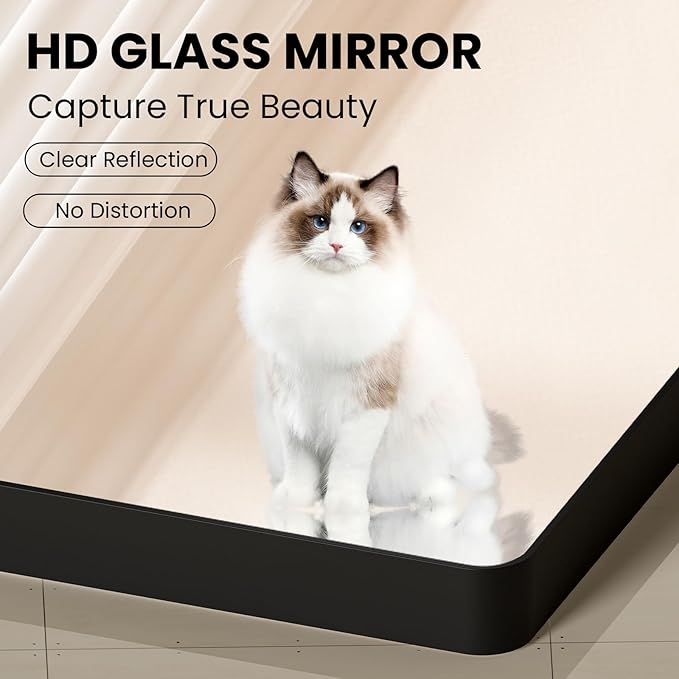 Black Bathroom Mirror Wall Mounted Vanity Mirror with Rounded Corner Metal Framed, Tempered Glass, Anti-Rust(Horizontal/Vertical), 22 x 30 Inch