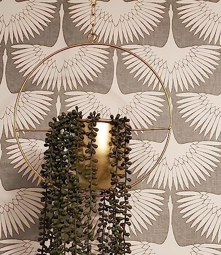 2 Pack Gold Hanging Planter with 5.5" Pot, Gold Plant Hanger - Image 2