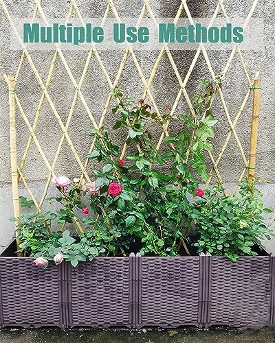 4 Ft Bamboo Stakes with 100 Twist Ties Natural Bamboo Garden Stakes for Tomatoes Cucumber Grapes Pole Beans Trees Potted Dahlia Flowers and Climbing Plants - Pack of 25 - Image 5