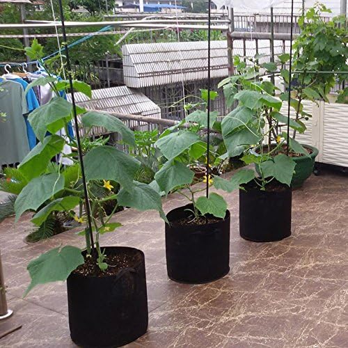 MIFXIN Potato Grow Bags 7 Gallon Vegetable Planter Bag with Handles Nonwoven Fabric Growing Container for Planting Potato Carrot Tomato Onion (2 Pack) - Image 7