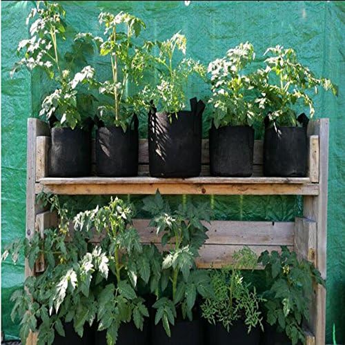 MIFXIN Potato Grow Bags 3 Gallon Vegetable Planter Bag with Handles Nonwoven Fabric Growing Container for Planting Potato Carrot Tomato Onion (5 Pack) - Image 2