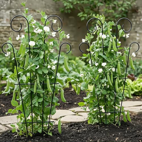 Thealyn 4 Pack 23 Inch Plant Trellis for Potted Plants - Image 7