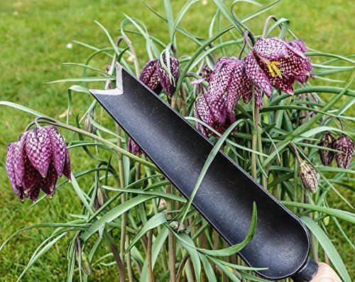 Tierra Garden DeWit Snake Tongue Trowel, Garden Tool for Roots and Planting (31-3005) - Image 2