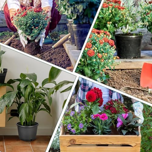 HOSTIC 1 Gallon Flexible Nursery Pots Gallon Pot with Drainage Holes Plastic Plant Container Suitable for Indoor Outdoor Vegetables Flowers Plants 10 PCS - Image 7